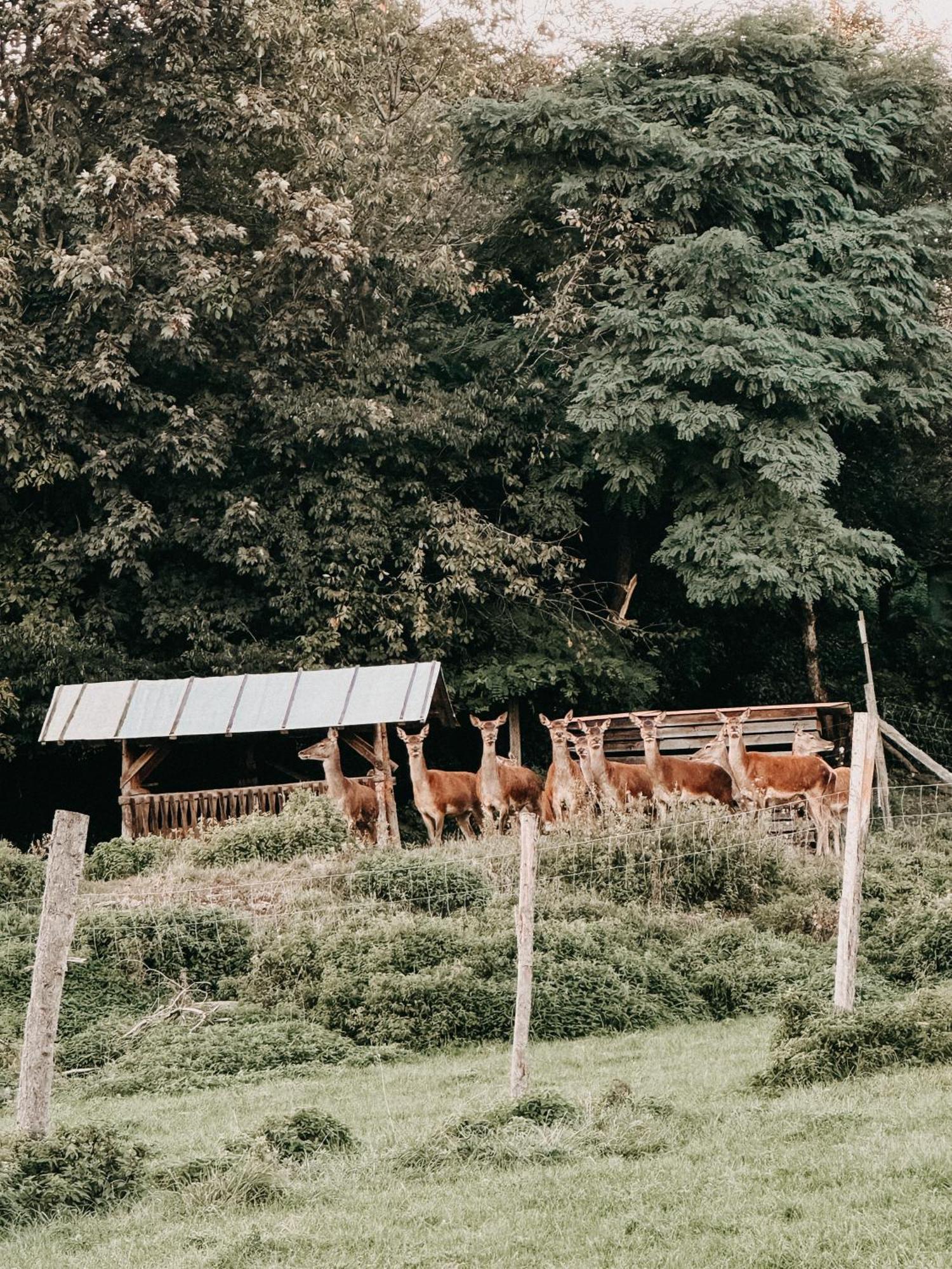Exklusives Apartment Mit Bergblick Steinhoring 외부 사진